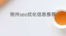 朔州seo优化信息推荐 朔州专业seo优化