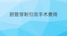 胆管穿刺引流手术费用 引流手术费用 胆管穿刺引流手术费用 引流手术费用