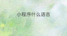 小程序什么语言 小程序开发用的什么语言