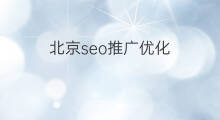 北京seo推广优化 北京seo优化团队