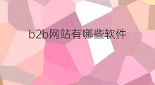 b2b网站有哪些软件 国内b2b网站有哪些