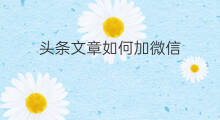 头条文章如何加微信 如何编辑微头条文章