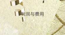 利润与费用 收入费用利润