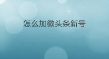怎么加微头条新号 新号怎么微头条展现少