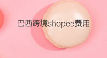 巴西跨境shopee费用 巴西shopee叫什么
