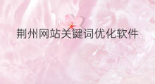荆州网站关键词优化软件 荆州网站关键词优化技巧