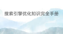 搜索引擎优化知识完全手册 搜索引擎优化知识