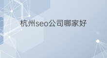 杭州seo公司哪家好 杭州本地seo哪家好