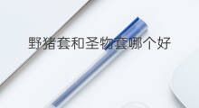 野猪套和圣物套哪个好 圣物套哪套好