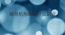 辅导机构能做什么副业 跨境电商辅导机构哪家好