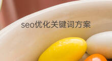 seo优化关键词方案 扬州关键词优化方案
