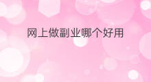 网上做副业哪个好用 网上副业应用哪个好用