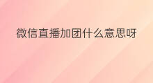 微信直播加团什么意思呀 微信线上直播什么意思呀