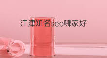 江津知名seo哪家好 江津专业seo哪家好