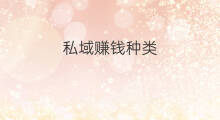 私域赚钱种类 私域赚钱吗