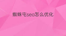 蜘蛛屯seo怎么优化 推广蜘蛛屯优化排名网站