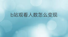b站观看人数怎么变现 快手观看人数算钱吗