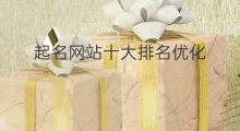 起名网站十大排名优化 江苏本地网站优化十大排名