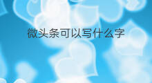 微头条可以写什么字 电脑可以写微头条