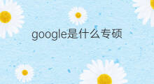 google是什么专硕 跨境电商哪种专硕好