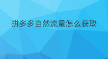 拼多多自然流量怎么获取 拼多多自然流量怎么提升