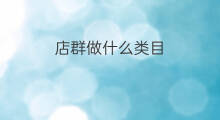 店群做什么类目 什么是类目店群