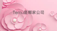Temu是哪家公司 chatgpt是哪家公司