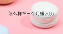 怎么样在三个月赚20万 怎么样在三个月内赚50万