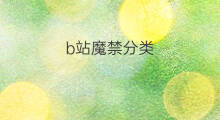 b站魔禁分类 b站冷门分类