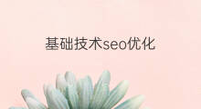 基础技术seo优化 seo技术优化