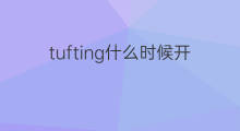 tufting什么时候开始火的 淘宝什么时候开始火的