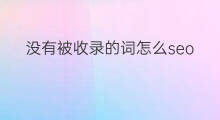 没有被收录的词怎么seo 网站有没有被收录