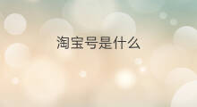 淘宝号是什么 什么是淘宝号