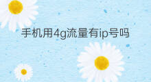 手机用4g流量有ip号吗 4g苹果手机怎么创建ip号