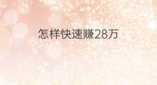怎样快速赚28万 怎样赚28万