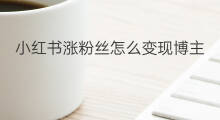 小红书涨粉丝怎么变现博主 博主小红书涨粉变现方法