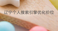 辽宁个人搜索引擎优化价位 辽宁创新搜索引擎优化价位