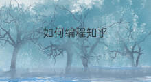 如何编程知乎 如何减肥知乎