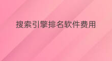 搜索引擎排名软件费用 搜索引擎排名软件费用高吗