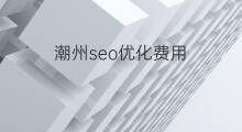 潮州seo优化费用 张掖seo优化费用