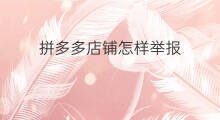 拼多多店铺怎样举报 如何举报拼多多