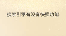 搜索引擎有没有快照功能 有没有搜索引擎好用的