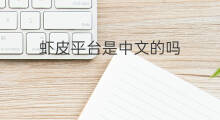 虾皮平台是中文的吗 跨境电商哪个平台是中文