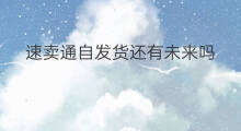 速卖通自发货还有未来吗 速卖通全部自发货吗