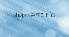 shopify弃单邮件召回在哪 shopify邮件在哪