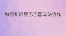 如何和阿里巴巴国际站合作 如何设置阿里巴巴国际站