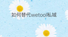 如何替代wetool私域 如何公域转私域