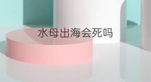 水母出海会死吗 出海会寂寞吗