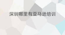 深圳哪里有亚马逊培训 深圳亚马逊培训机构哪家好