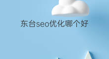 东台seo优化哪个好 东台seo优化方法